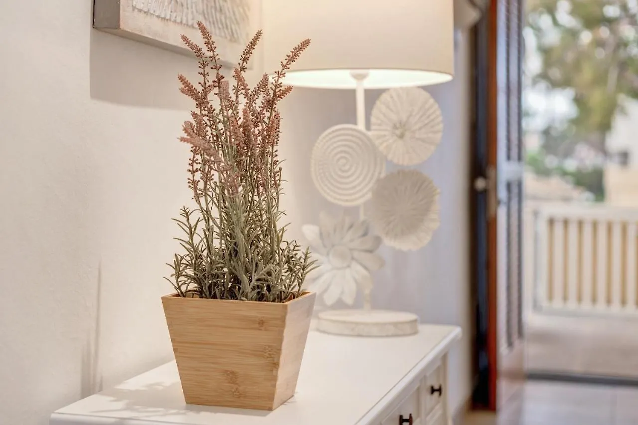 Apartamento Buganvilia Sea Alcudia  Apartment Alcudia (Mallorca)